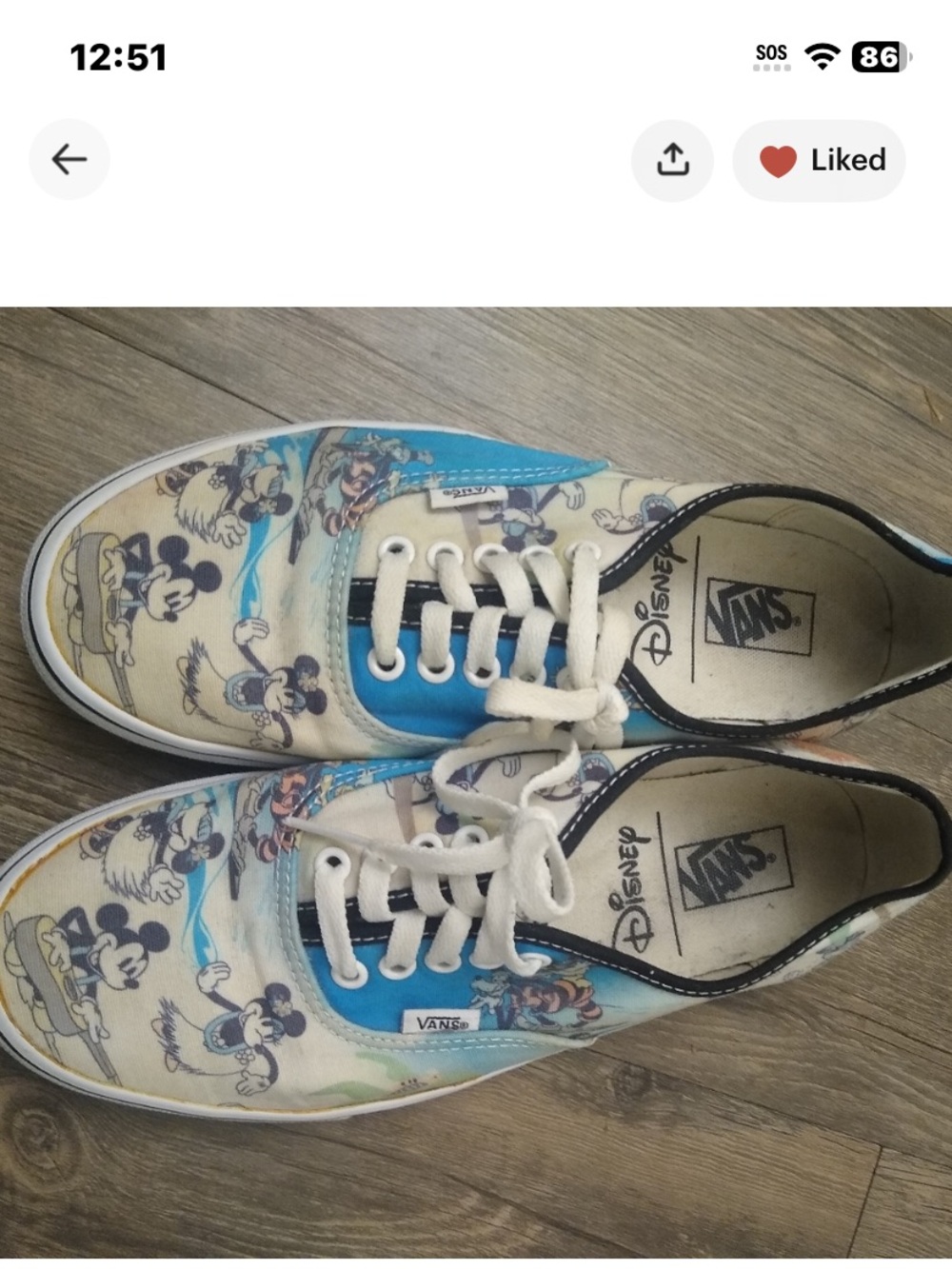 Vans~ Disney island
